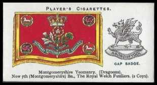 47 Montgomeryshire Yeomanry